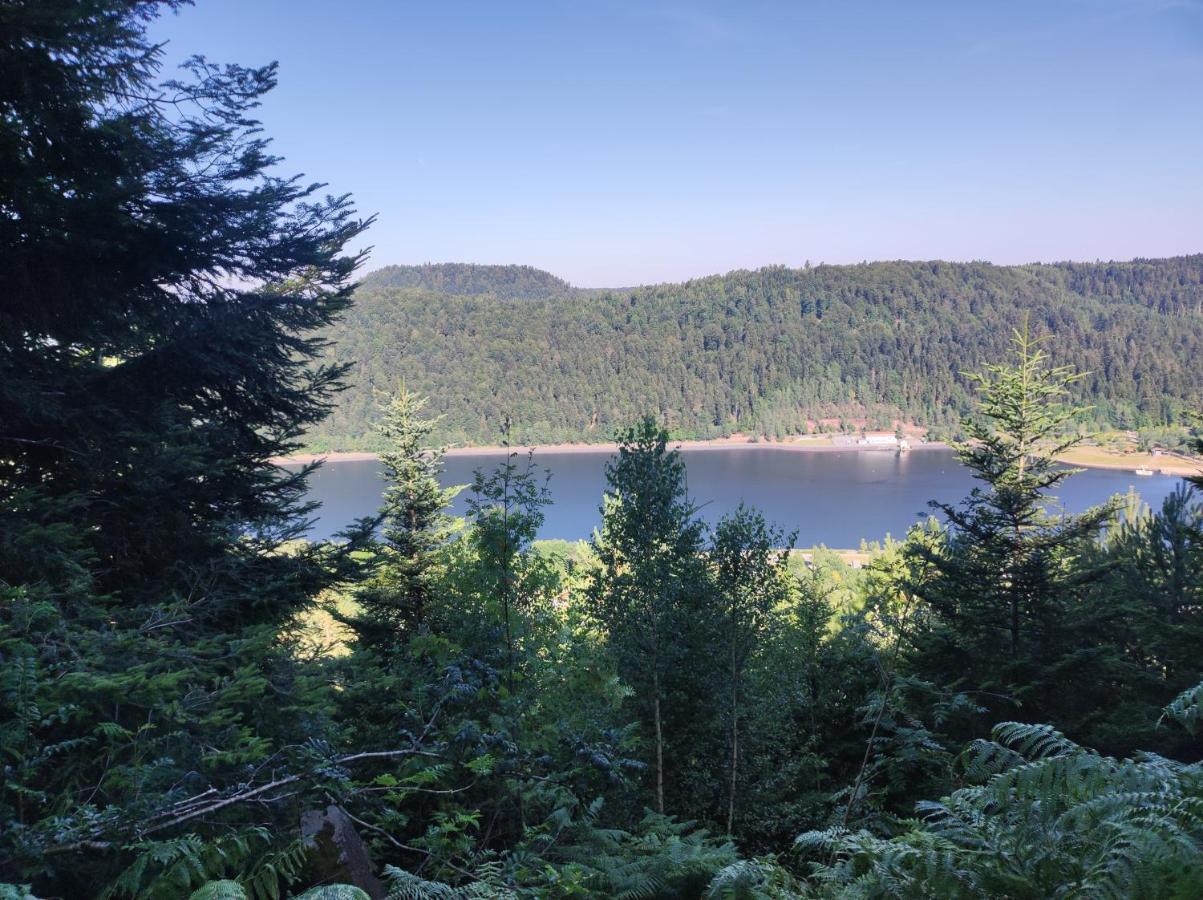 Gite "Fils Et Cotons" Piscine Interieure Chauffee A L'Annee Et Sauna Prive Celles-sur-Plaine Kültér fotó